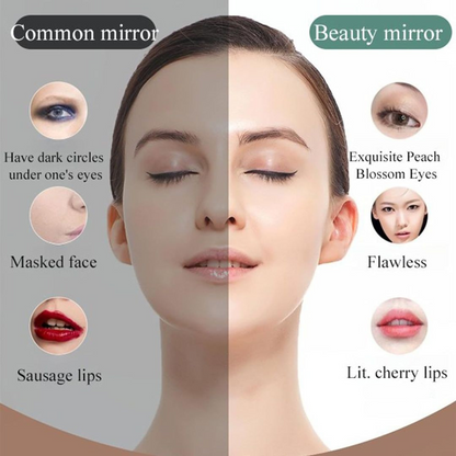 Small Travel LED Makeup Mirror Case with Adjustable Brightness